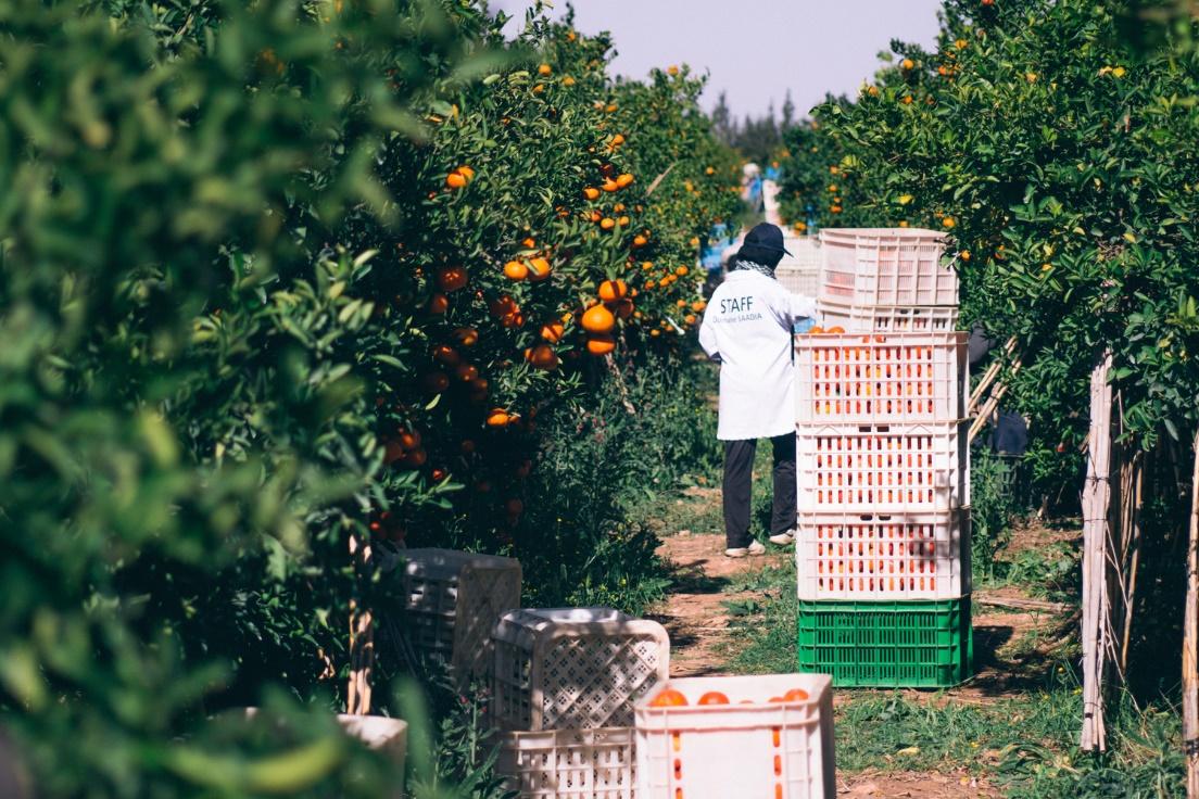 Sustainable farming